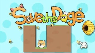 Save the Doge level 101-110