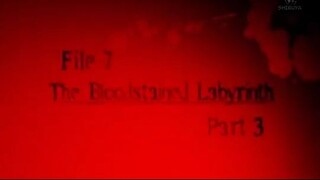 20. labyrint part 3