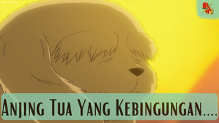 Gintama || Anjing Tua Yang Kebingungan...