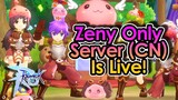 [ROM] Zeny Only New Server Is Officially Launched In CN! | King Spade
