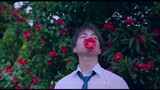 [Japanese Drama and Film Mashup X 春よ、来い]Love Is a Sad Thing.