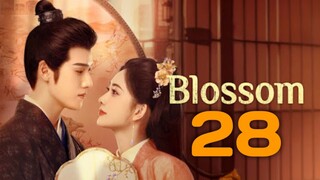 Blossom(2024) Episode 28 English Subtitle