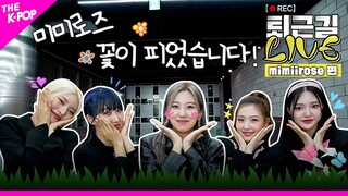 [퇴근길 LIVE 4K] 미미로즈(mimiirose) 꽃이 피었습니다! 밈둥이들의 특별한 퇴근꽃길🌸