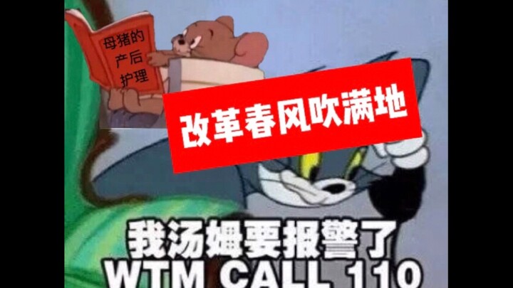【改革春风吹满地】我猫和老鼠也要做念诗之王！(汤姆:摇了我吧.jpg)