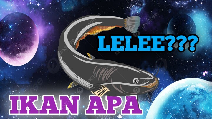 ADA HERO IKAN GAAAA