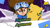 Digimon|[Universe] Agumon (TVB)_1