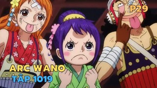 Review Phim One Piece SS20 - Tập 1019 ARC WANO | Tóm tắt Phim Đảo Hải Tặc P29