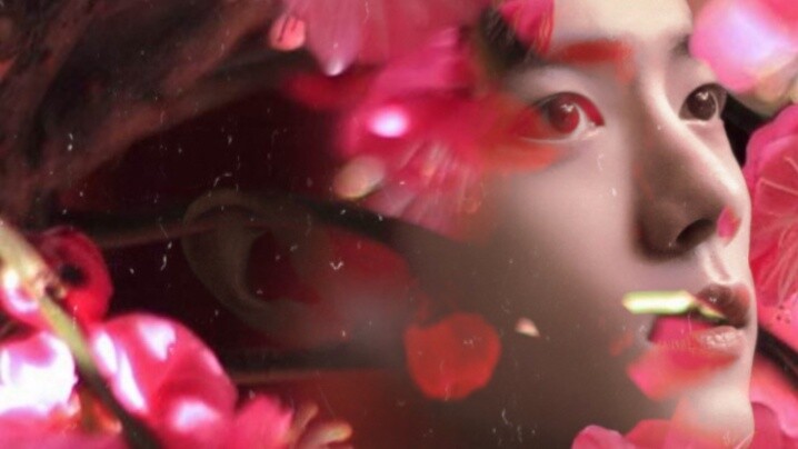 Xiao Zhan【Red Plum Blossom Praise】self-made MV with a sense of the times