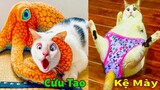 Thú Cưng TV | Mèo Sam Và Miu #12 | mèo thông minh vui nhộn | Pets funny cute smart cat