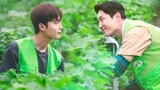 Love Tractor|Episode 1 English Sub|Best Korean BL