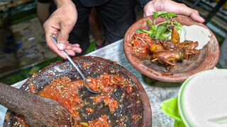 BURUNG PUYUH SAMBEL KOREK || JUALAN CUMA 2 JAM 100 EKOR LUDES TAK ADA SISA