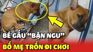 Bé Gấu giận dỗi Bố Mẹ vì "TRỐN ĐI CHƠI" trong lúc Gấu đang bận NGỦ 😂 | Yêu Lu