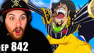 One Piece Episode 842 REACTION | The Execution Begins! Luffy's Allied Forces Are Annihilated?!