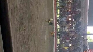 2x win nasi gold