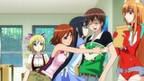 Anime Harem Dengan MC Yang Diperebutkan Banyak Wanita ‼️