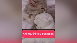 Khi người yêu bạn quá ngon 😜, liếm trợn cả mắt lênancungtiktok luomwcat lucy meocute