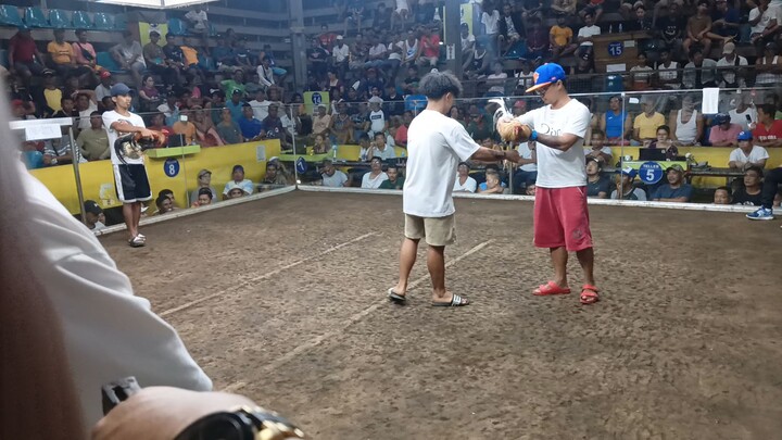 2nd fight pachampion another dome line 03-16-25