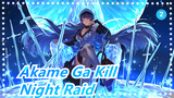 Akame Ga Kill|Hope you will enjoy this ! A tribute to the Night Raid !_2