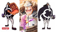 KEHIDUPAN KUMA YANG MENGENASKAN | ONE PIECE