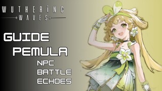 Guide untuk pemula NPC, Battle, Echoes - Wuthering Waves