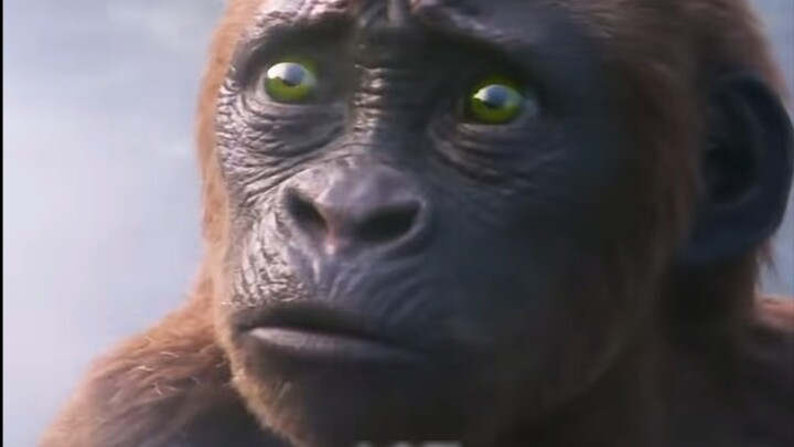 #MovieGodzilla vs. King Kong 2 Which look back amazed you in your youth?