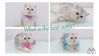 Chubby cat Joy is getting ready for the party. Which outfit to choose?