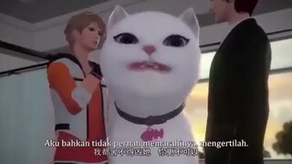 Ketika kucing dibawa ke dokter