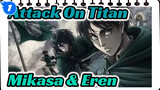 Attack On Titan
Mikasa & Eren_1