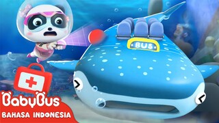 Bus Hiu Paus | Kartun Anak-anak | Tim Penyelamat Super | BabyBus Bahasa Indonesia