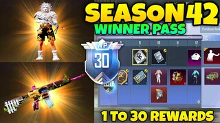 Pubg Lite Season 42 Winner Pass | 1 To 30 Rewards 😍 | Season 42 Winner Pass Pubg Lite | Season 42 Wp