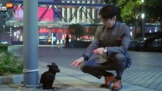 nửa là đường mật nửa là đau thương tập 24