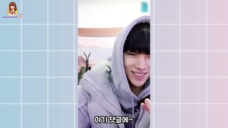 Jaechan gọi điện cho anh Seoham trên live V app