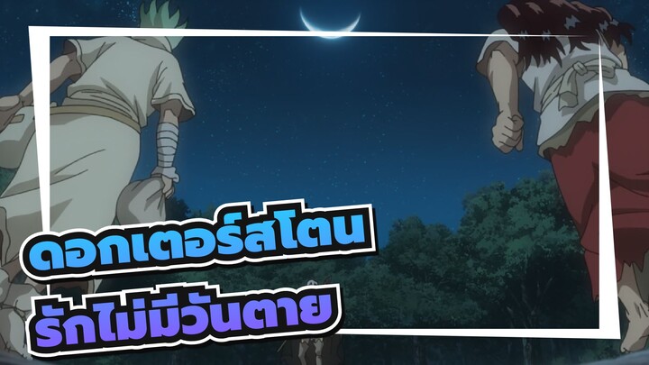 ดอกเตอร์สโตน|รักไม่มีวันตาย