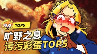 【TOP5】五个《塞尔达传说 旷野之息》污污彩蛋！