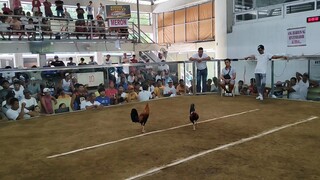 2 HITS CHAMPION 2ND FIGHT WIN