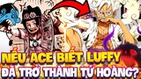 NẾU ACE CÓ THỂ BIẾT LUFFY ĐÃ THÀNH TỨ HOÀNG?! | LUFFY CHÍNH LÀ NGUỒN SỐNG CỦA ACE?!