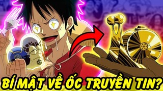 Sự Thật Về Den Den Mushi?! | Những Thông Tin Thú Vị Về Ốc Sen Truyền Tin Trong One Piece