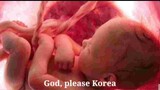 God please Korea