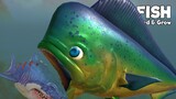 อัพเดทลับ! ปลาอีโต้มอญ...นี้มันปลาหรือมีดอีโต้? | Fish Feed and Grow #97
