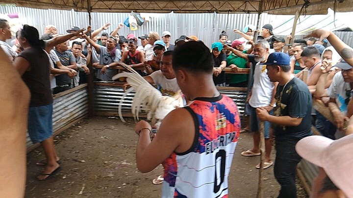 Tabas ni Ellorimo Bato na Bato panalo