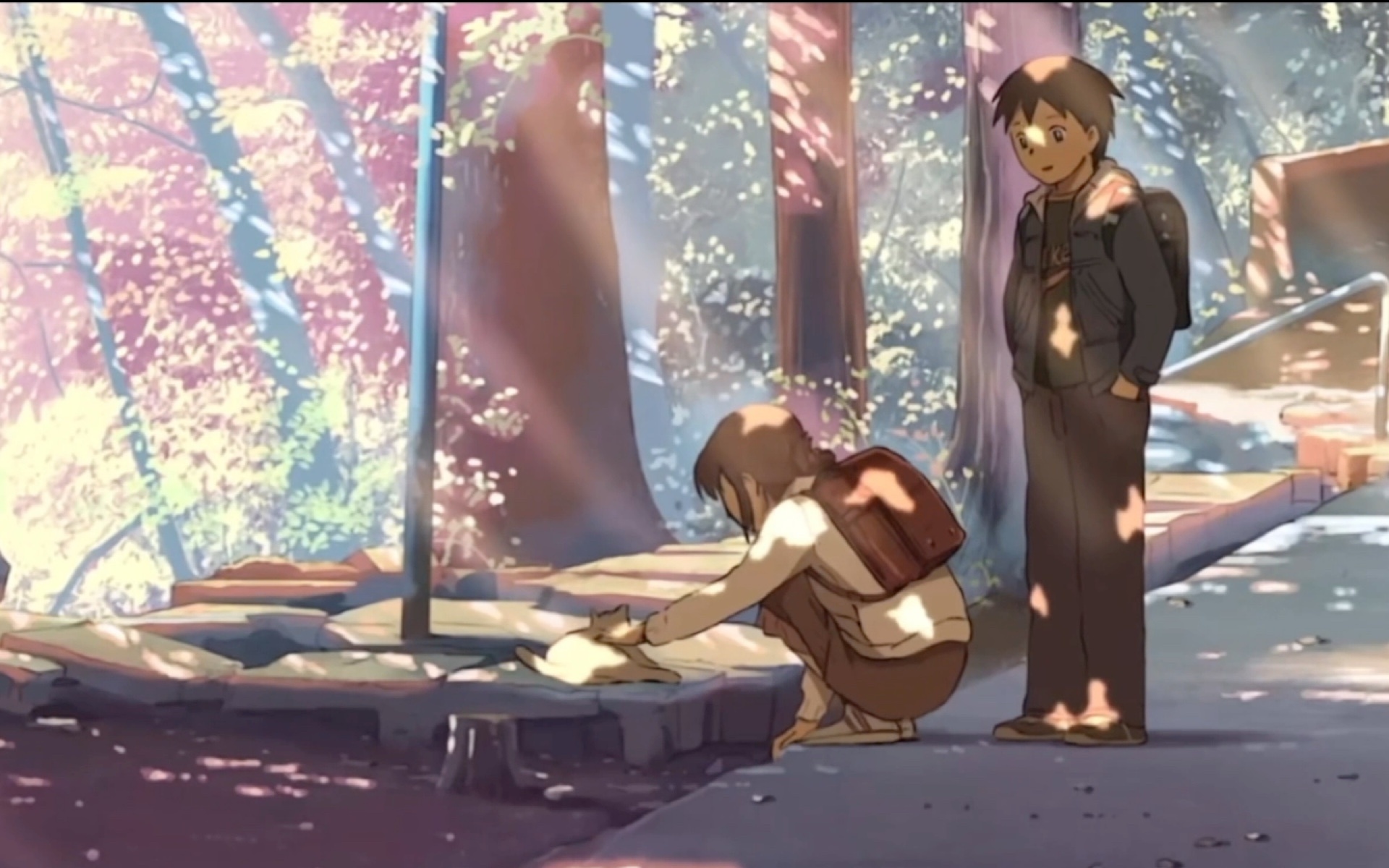 Mad Of Byousoku 5 Centimeter Bilibili