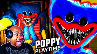 SESAME Street FROM HELL! | Poppy Playtime