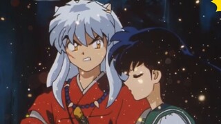 Cuối cùng tôi cũng đếm được bao nhiêu lần Kagome bảo InuYasha ngồi xuống~