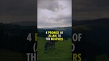4 Allah's Promise To The Believers 👳‍♂️👳‍♀️ #islamicvideo #ytshorts #islamicstatus #allahﷻ #believer
