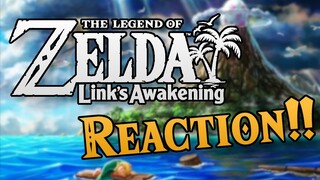 Links Awakening Switch Reveal REACTION!!