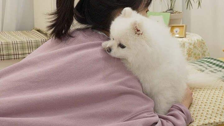 If you suddenly hug the puppy Gou... there is a c*ess alert ahead.