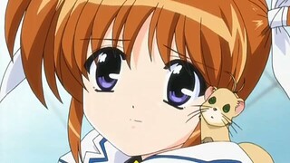 Magical girl lyrical nanoha season 1 episode 3 english dub