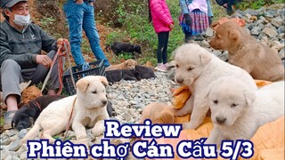 Bê Bê Núi | Chợ Cán Cấu 5/3 vẫn nhộn nhịp nhiều cún con. Hmong dog.