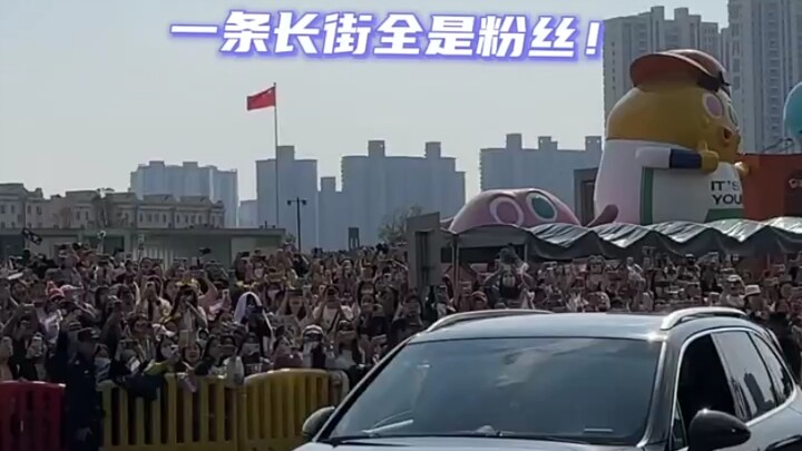 Shi Yan is crazy. I am fascinated by Wang Hedi. Hello, Wang Hedi. Shi Yan is the chosen one for work