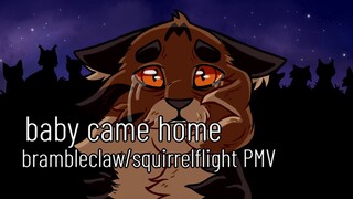 baby came home (brambleclaw / squirrelflight PMV)